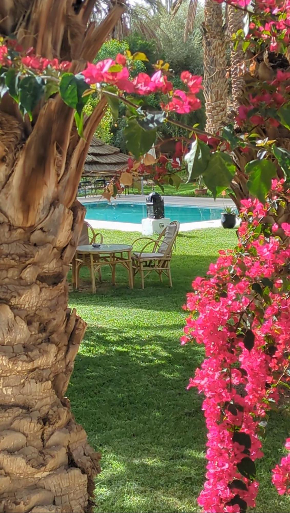 Maison D Hote Ighrem Goulmima المظهر الخارجي الصورة
